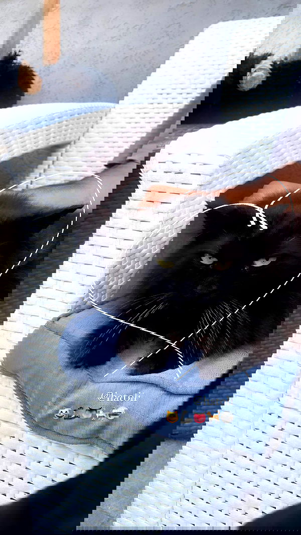 alice.skym alice.skym archive image