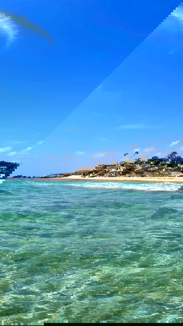 alice.skym alice.skym archive image