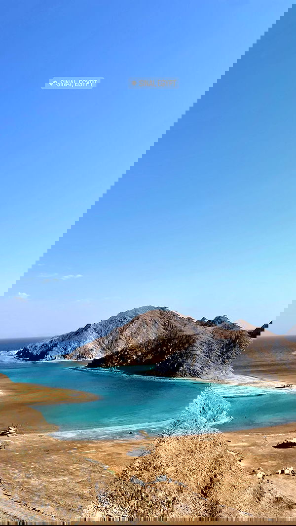 alice.skym alice.skym archive image