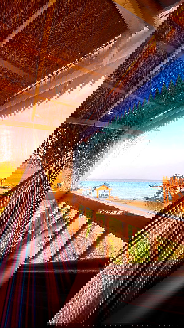 alice.skym alice.skym archive image