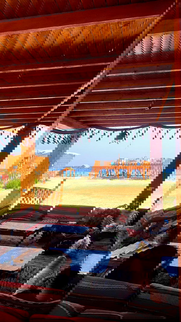 alice.skym alice.skym archive image