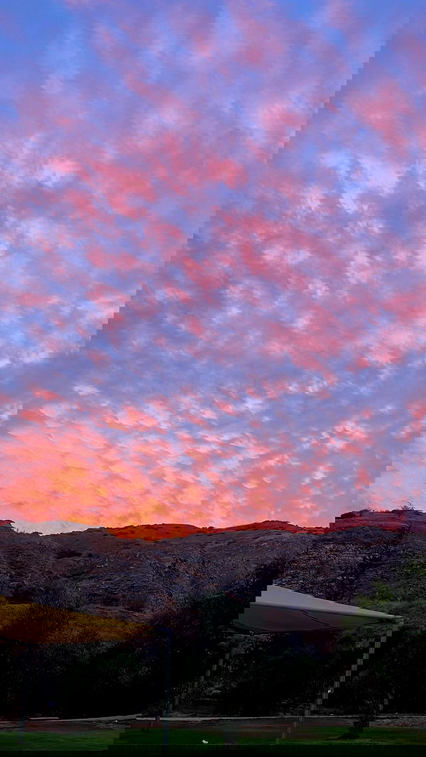 alice.skym alice.skym archive image