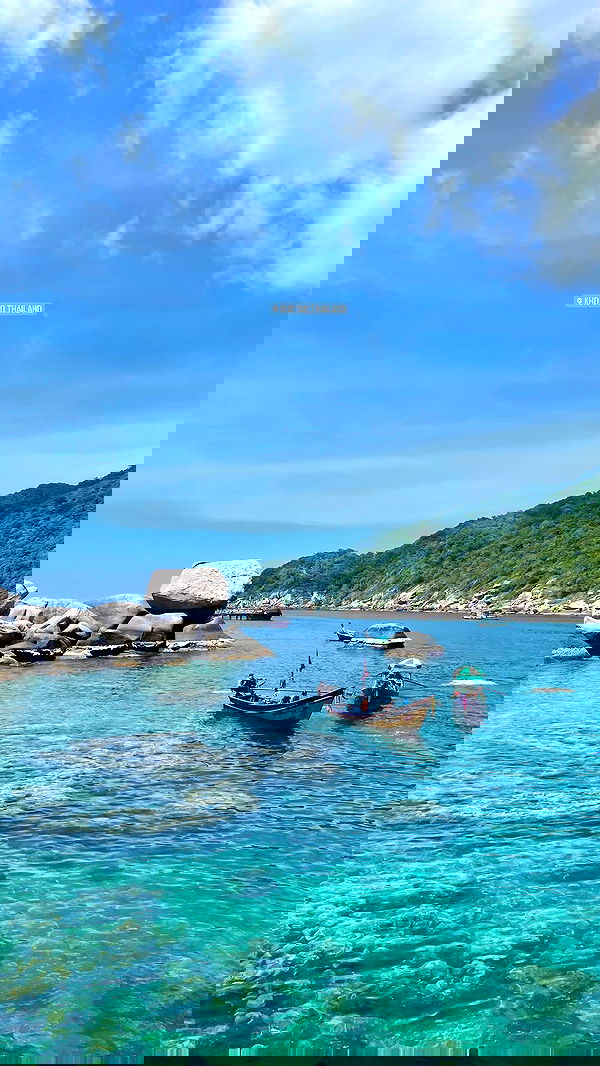 alice.skym alice.skym archive image