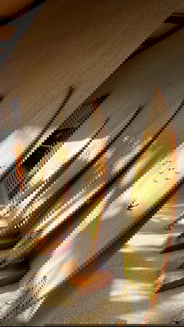 alice.skym alice.skym archive image