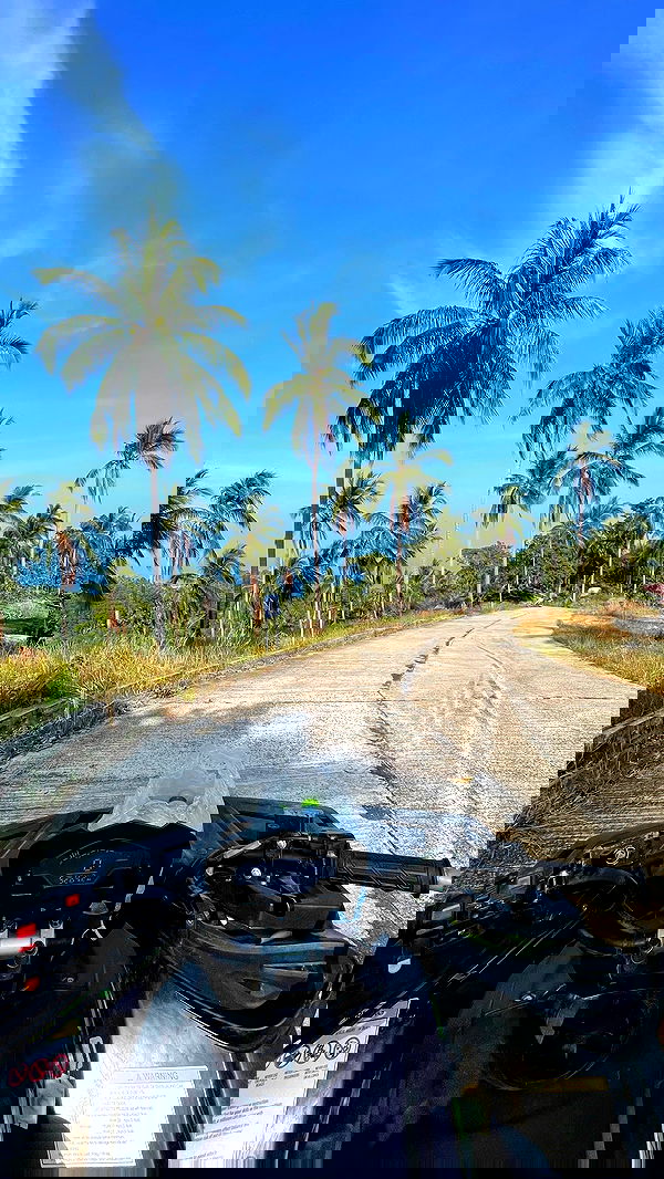 alice.skym alice.skym archive image