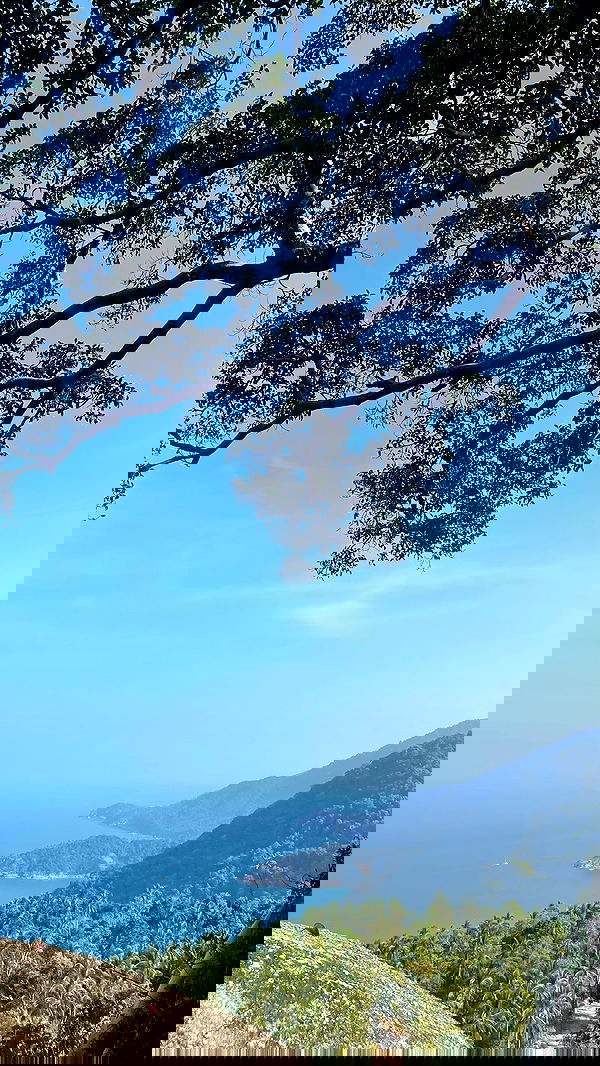 alice.skym alice.skym archive image