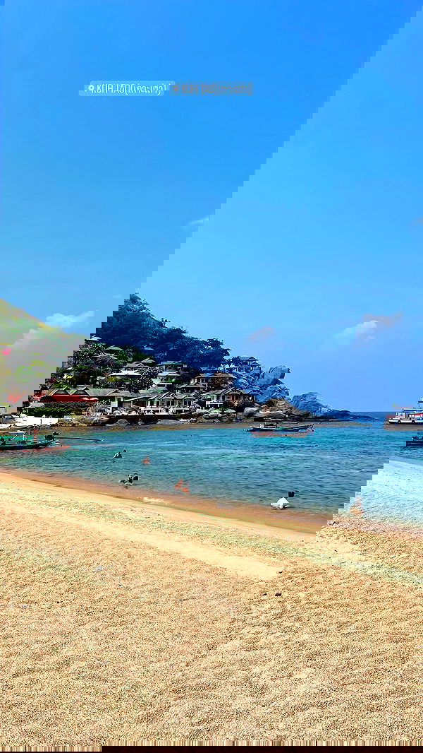 alice.skym alice.skym archive image