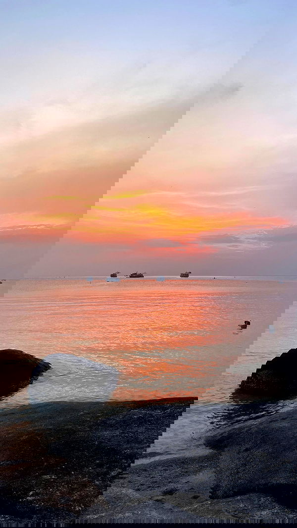 alice.skym alice.skym archive image