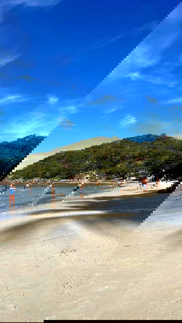 alice.skym alice.skym archive image