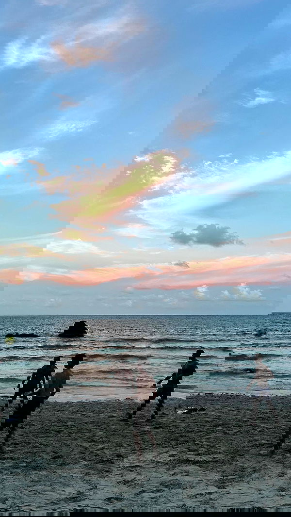 alice.skym alice.skym archive image