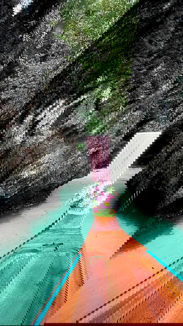 alice.skym alice.skym archive image