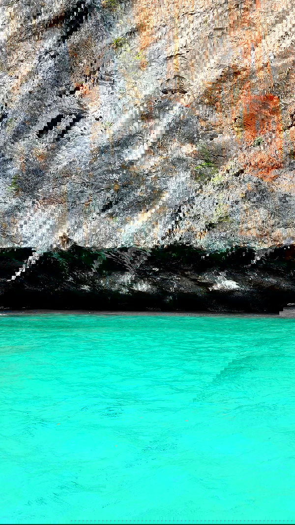 alice.skym alice.skym archive image