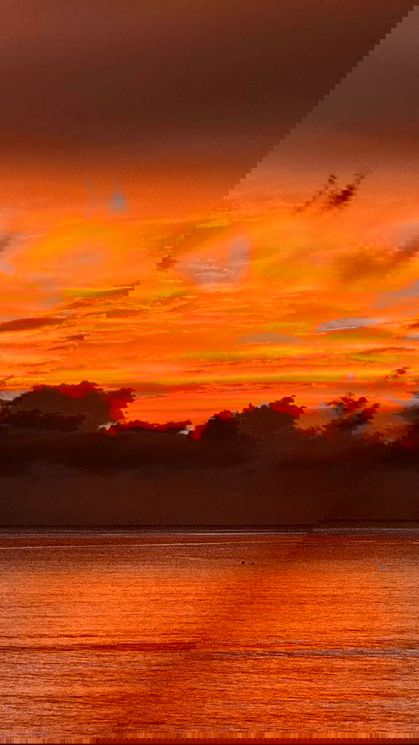 alice.skym alice.skym archive image