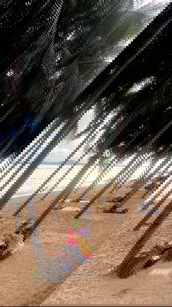 alice.skym alice.skym archive image