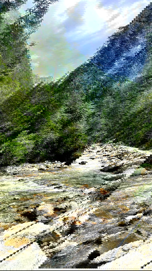 alice.skym alice.skym archive image