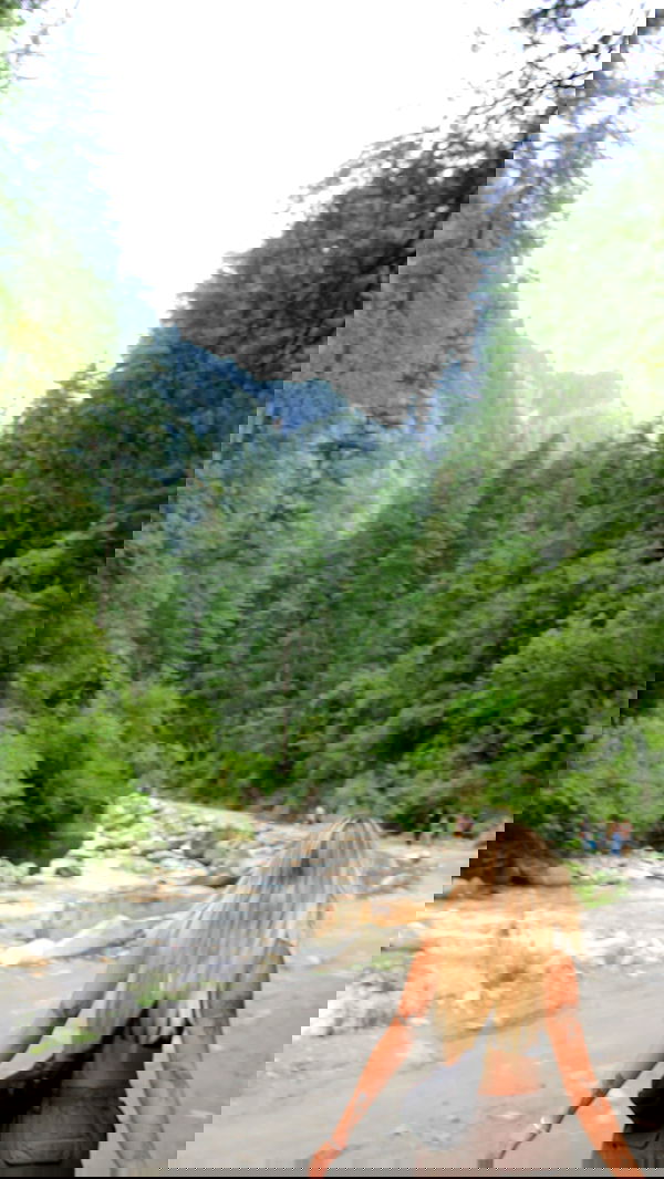 alice.skym alice.skym archive image