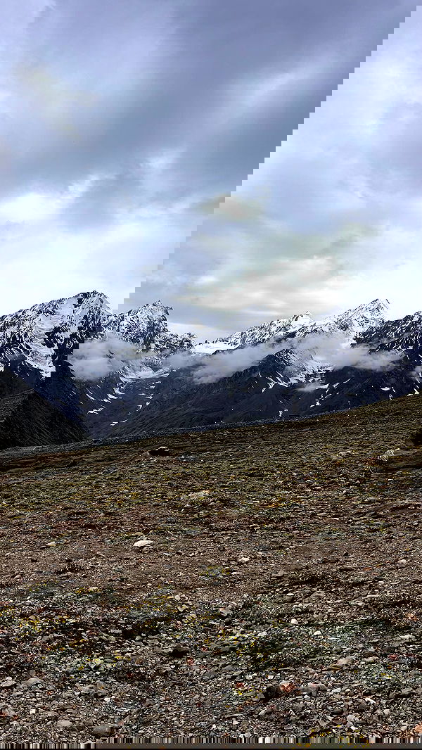 alice.skym alice.skym archive image