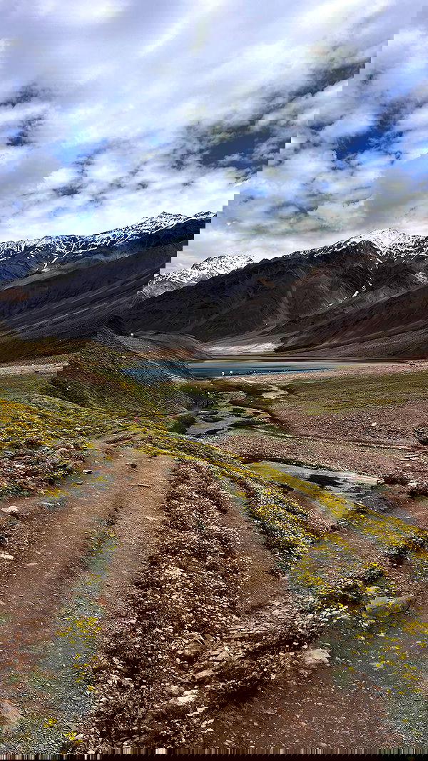 alice.skym alice.skym archive image