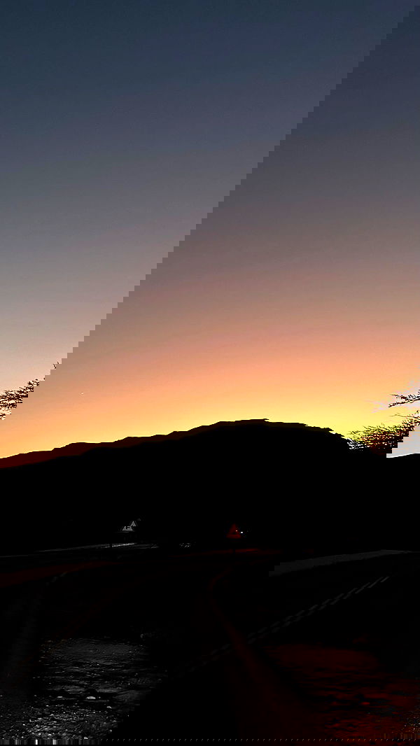 alice.skym alice.skym archive image