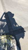 alice_delish Altpins Profile Picture
