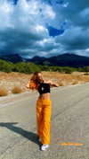 alinaapascalee Altpins Profile Picture