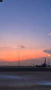 alineborinsky Altpins Profile Picture