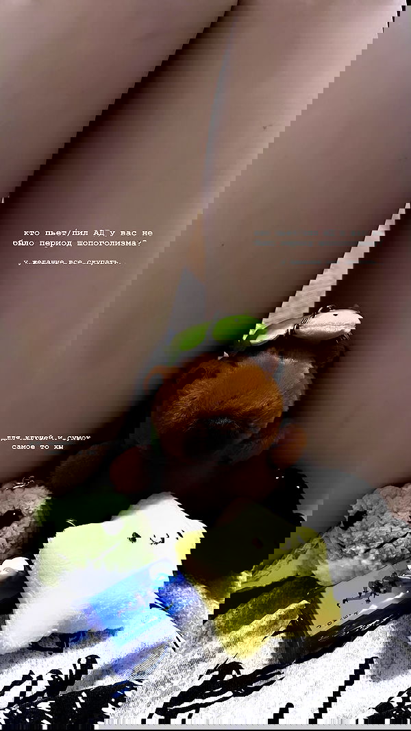 alskohope alskohope archive image