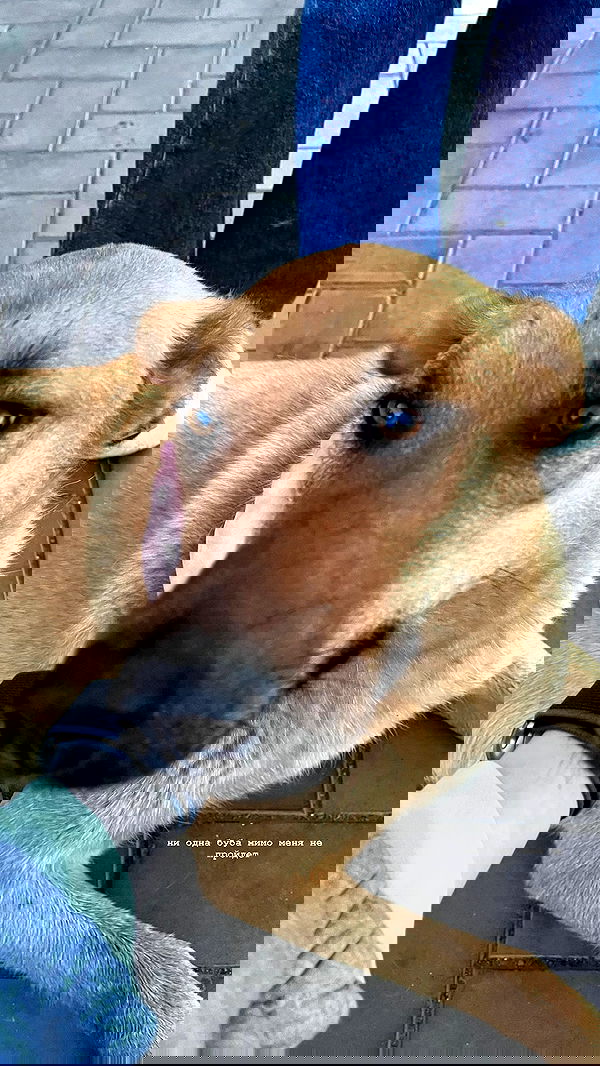 alskohope alskohope archive image