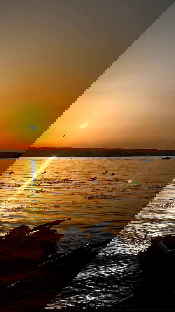 alskohope alskohope archive image