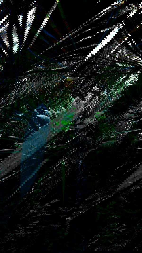 alskohope alskohope archive image