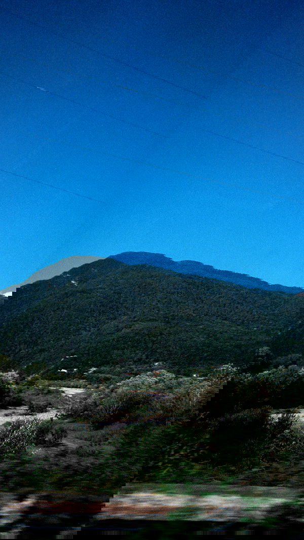 alskohope alskohope archive image