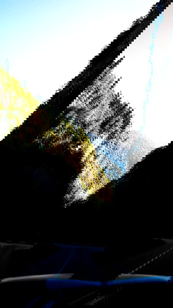 alskohope alskohope archive image