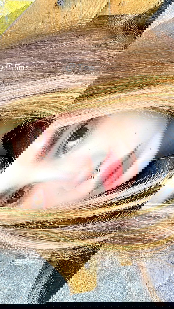 alskohope alskohope archive image