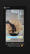 alyri_tv Altpins Profile Picture