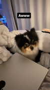 alyri_tv Altpins Profile Picture