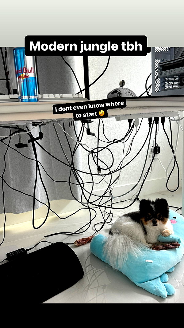 alyri_tv instagram image archive image