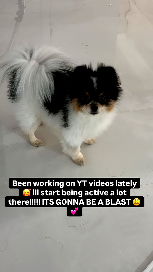 alyri_tv instagram image archive image
