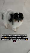 alyri_tv Altpins Profile Picture