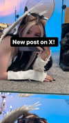 alyri_tv Altpins Profile Picture