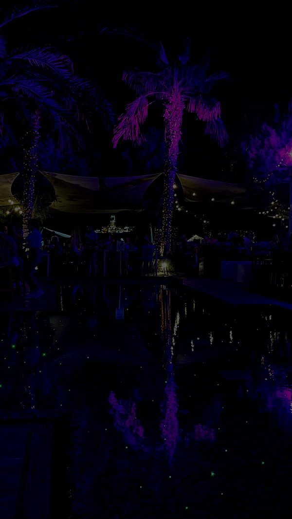 ambersela_ instagram image archive image