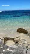 anika.wicks Altpins Profile Picture