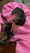 anika.wicks Altpins Profile Picture