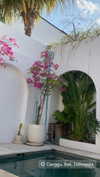 anika.wicks Altpins Profile Picture