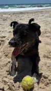 anika.wicks Altpins Profile Picture