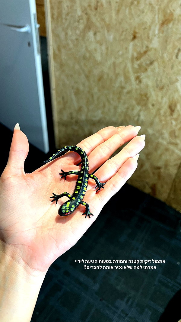 annazak12 instagram image archive image