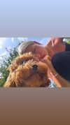 anya_shtril Altpins Profile Picture