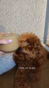 anya_shtril Altpins Profile Picture