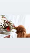 anya_shtril Altpins Profile Picture