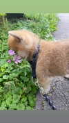 aryssa614 Altpins Profile Picture