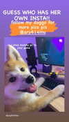 aryssa614 Altpins Profile Picture